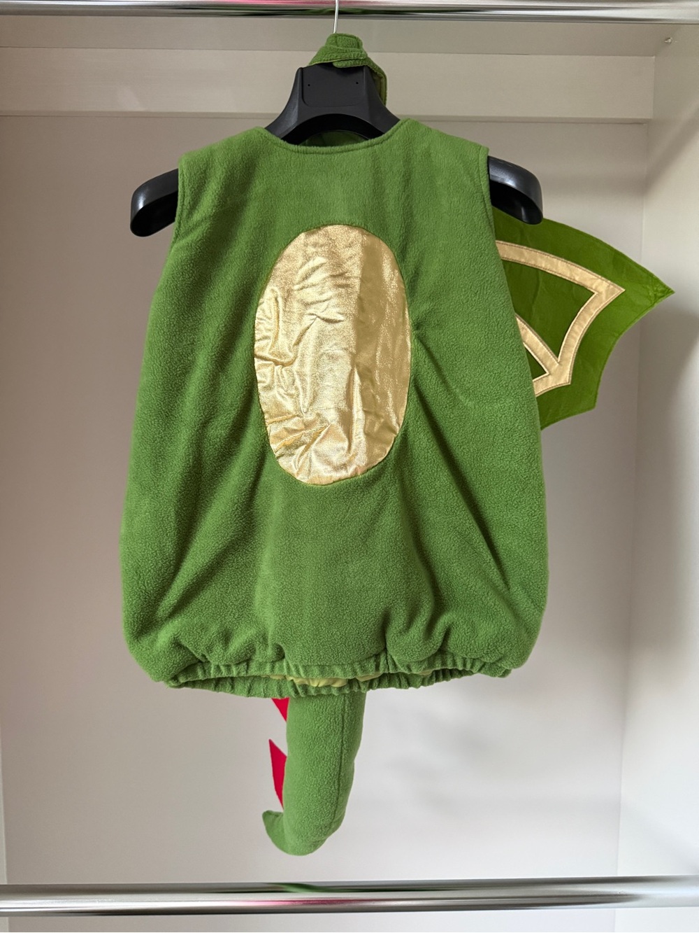 Pottery Barn Kids Green and Gold Dragon Costume